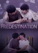 Book cover of “Predestination“ by RizzEditions