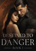 Book cover of “Destined to Danger. Book 1“ by Little Maze