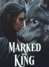 Book cover of “Marked by the King“ by undefined