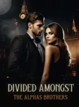 Book cover of “Divided Amongst the Alpha Brothers“ by undefined