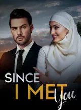 Book cover of “Since I Met You“ by undefined