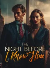 Book cover of “The Night Before I Knew Him“ by undefined