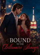 Book cover of “Bound to the Billionaire Stranger“ by undefined