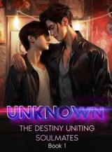 Book cover of “Unknown: The Destiny Uniting Soulmates. Book 1“ by undefined