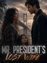 Book cover of “Mr. President's Lost Wife“ by undefined