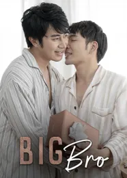 Book cover of “Big Bro“ by undefined