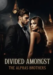 Book cover of “Divided Amongst the Alpha Brothers“ by undefined