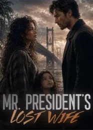 Book cover of “Mr. President's Lost Wife“ by undefined