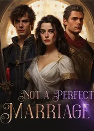 Book cover of “Not a Perfect Marriage“ by undefined