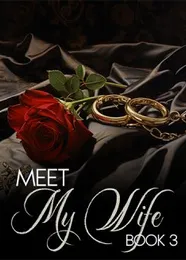 Book cover of “Meet My Wife. Book 3“ by undefined