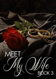 Book cover of “Meet My Wife. Book 3“ by undefined