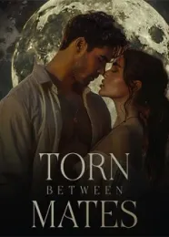 Book cover of “Torn Between Mates“ by undefined