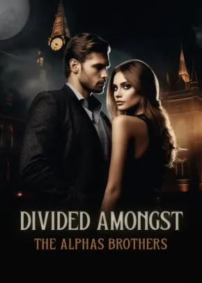 Book cover of “Divided Amongst the Alpha Brothers“ by Mystarionn