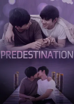Book cover of “Predestination“ by RizzEditions