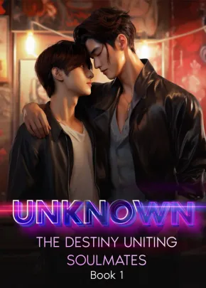 Book cover of “Unknown: The Destiny Uniting Soulmates. Book 1“ by Little Maze