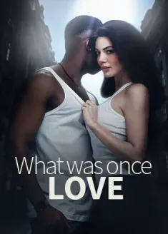 Book cover of “What Was Once Love“ by Ariel Kay