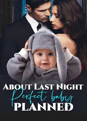 Book cover of “About Last Night: Perfect Baby Planned“ by Empress Kei