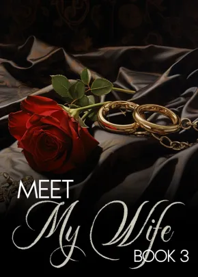 Book cover of “Meet My Wife. Book 3“ by LiL A
