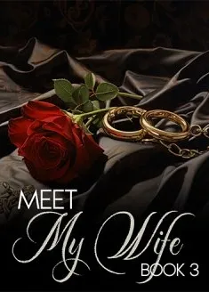 Book cover of “Meet My Wife. Book 3“ by LiL A