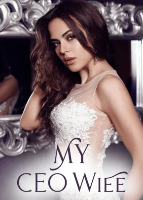 Book cover of “My CEO Wife“ by Taylor Brooks