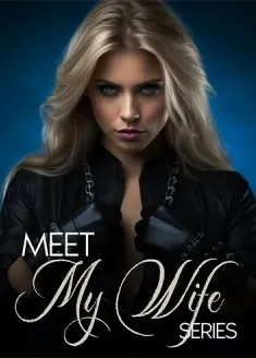Book cover of “Meet My Wife Series“ by LiL A