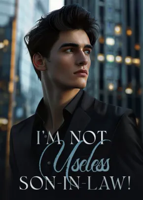 Book cover of “I'm Not Useless Son-in-Law!“ by Yay Yay